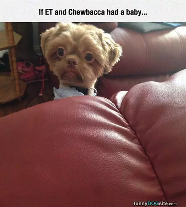 If-they-had-a-baby