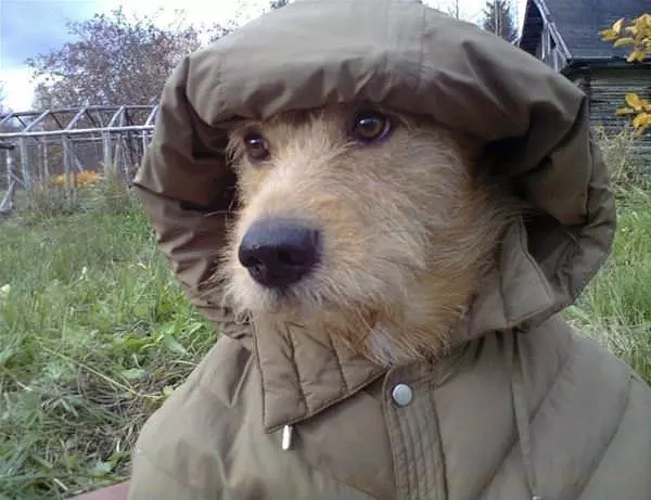 Bundled Up