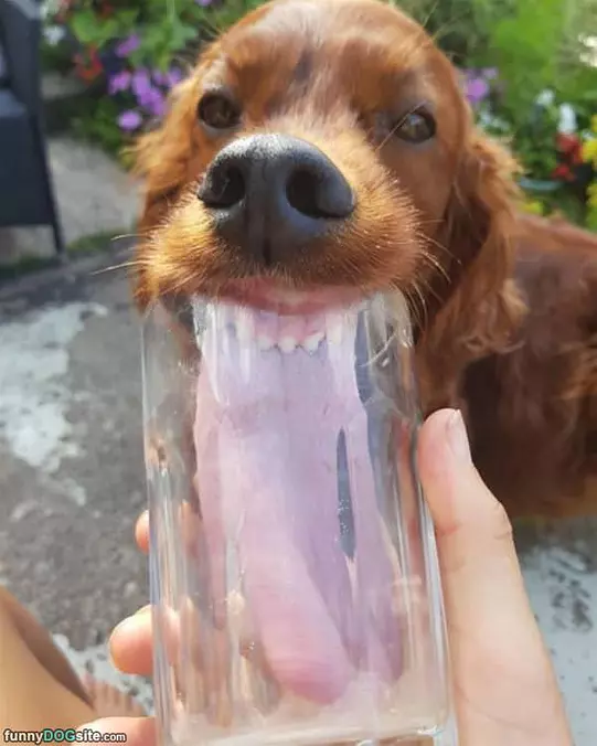 Nommmm Nom Nom