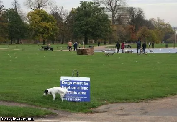 Dogs Sign