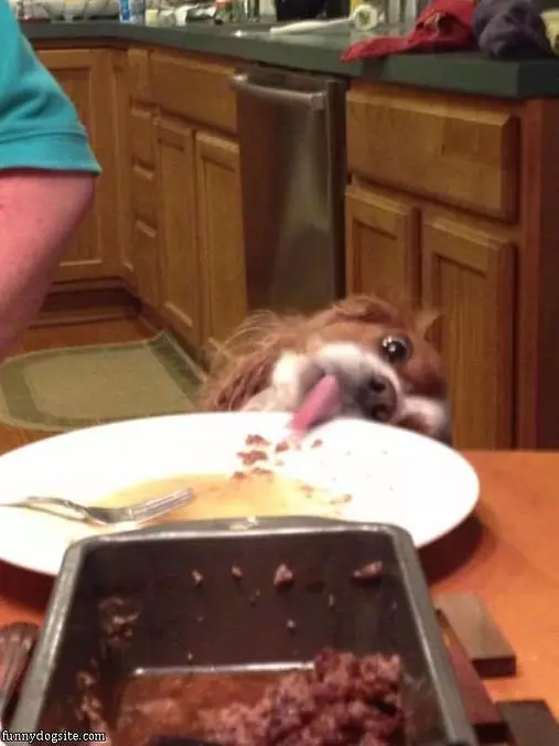 Can I Have Some