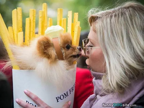 French Fry Dog