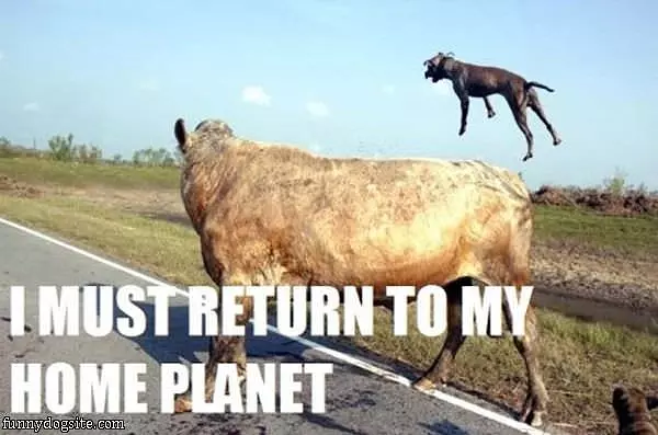 Home Planet