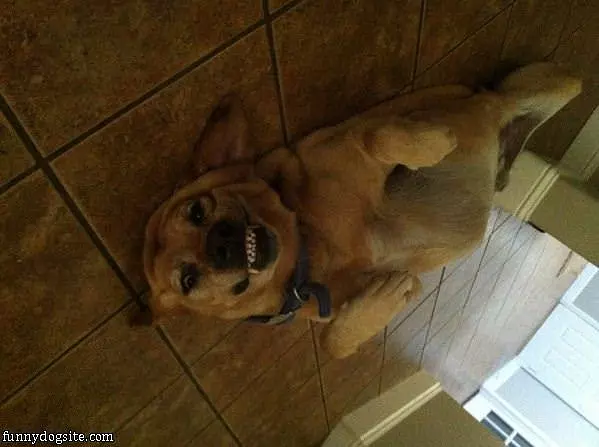 Nice Huge Smile