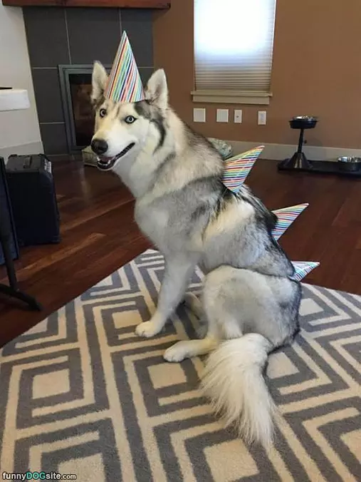 Dressed For My Party