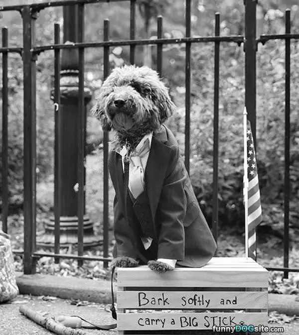 Bark Softly