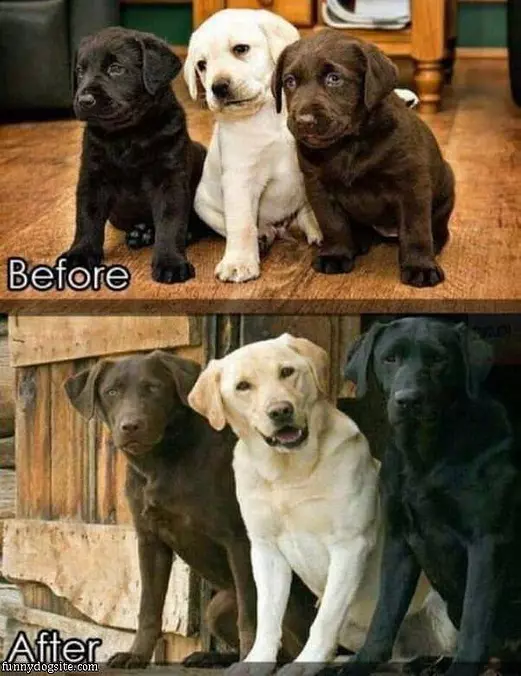 Before And After