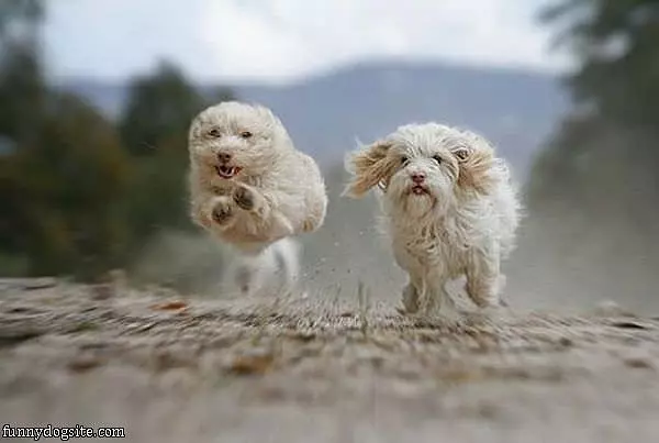 Running So Fast