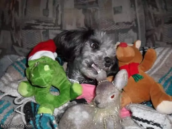 Allll The Toys