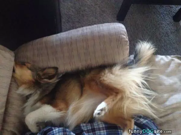 Fun Nap Style
