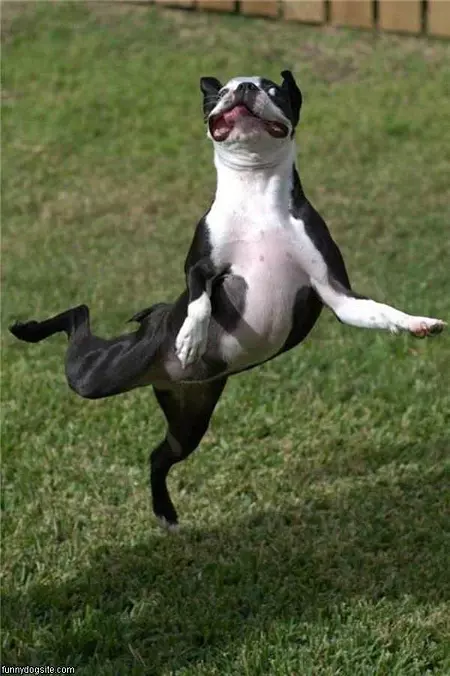 I Can Fly