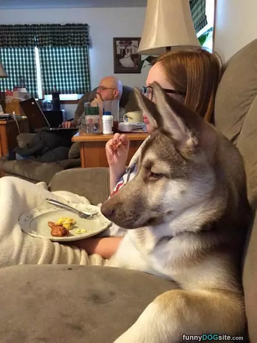 Chillin Like A Human