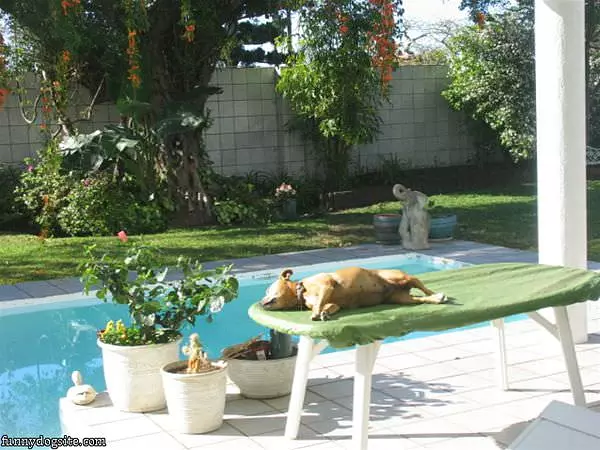 Getting Some Sun