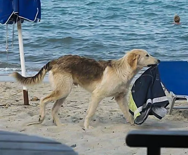Someone Is Having A Bad Day