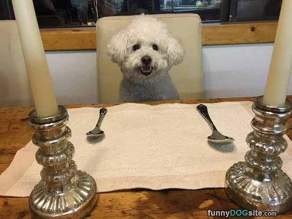 I Am Ready