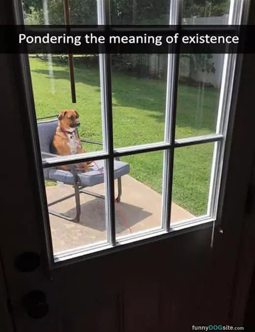 Very Deep Thoughts