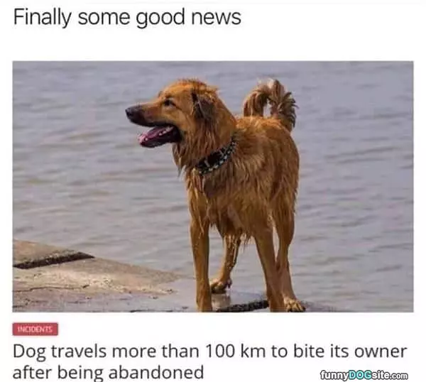 Finally Some Good News