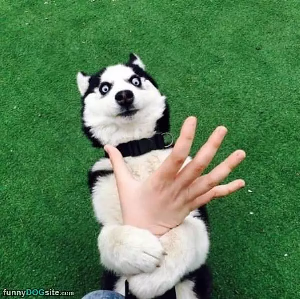 What Is That