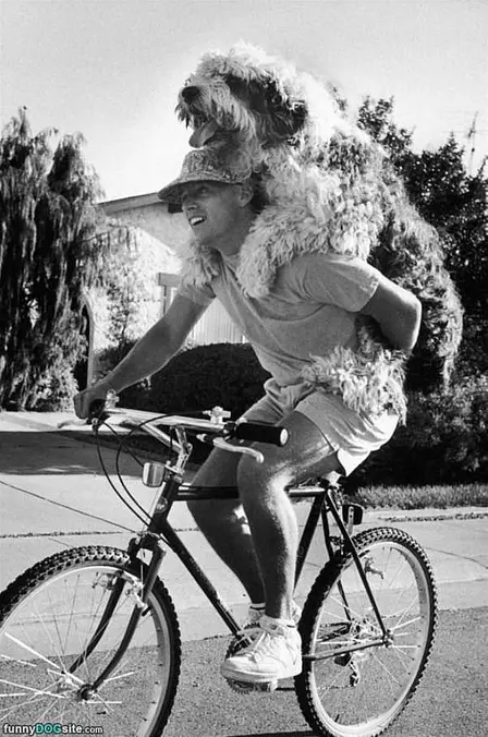 Awesome Bike Ride Time