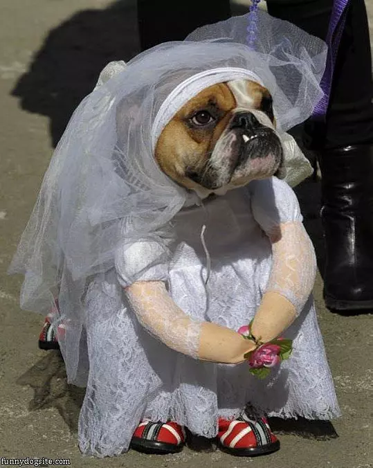 Getting Married