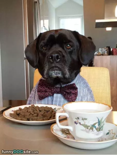 Fancy Dinner
