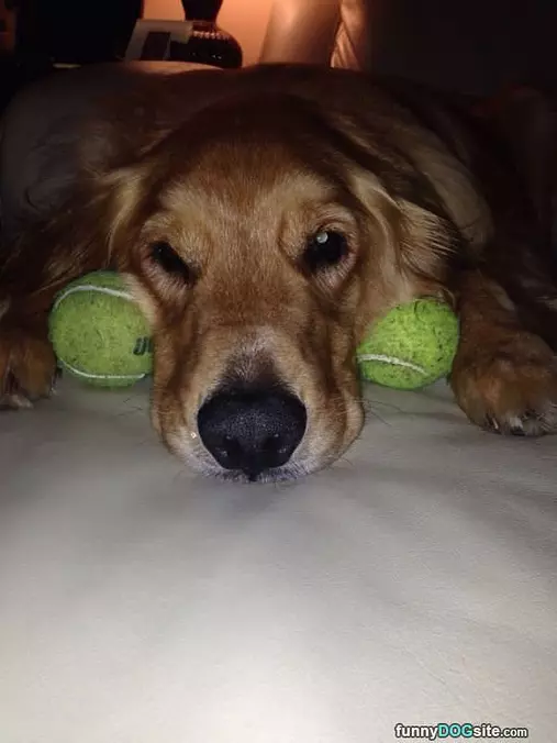 Guarding Them