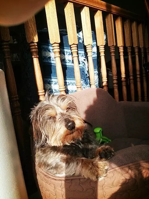 Sun Is In My Eyes