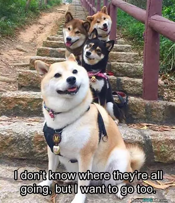 Where Are They All Going
