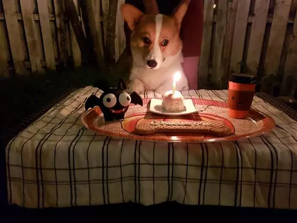 My Special Birthday Present