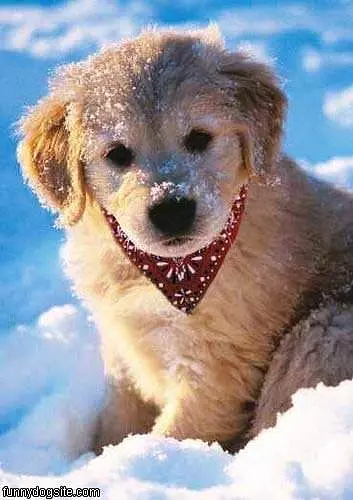 Fun In The Snow