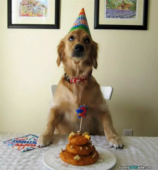 Can I Eat It Yet