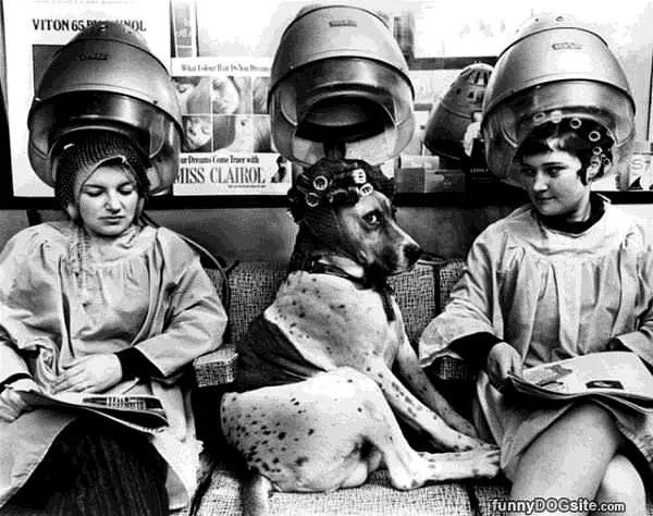 Getting My Hair Done