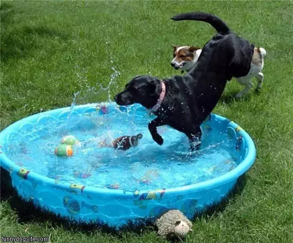 Love Pools