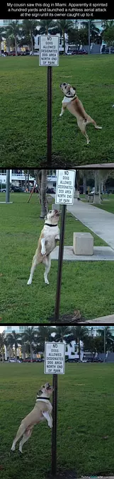 I Hate This Sign