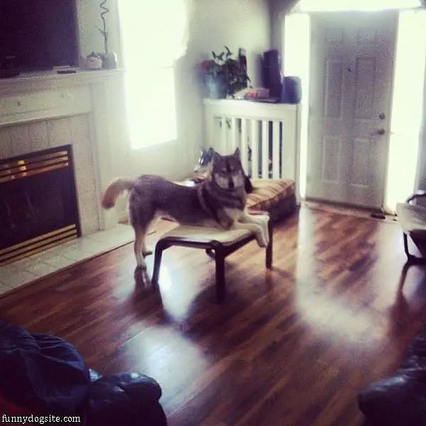 Doing My Yoga Stretches