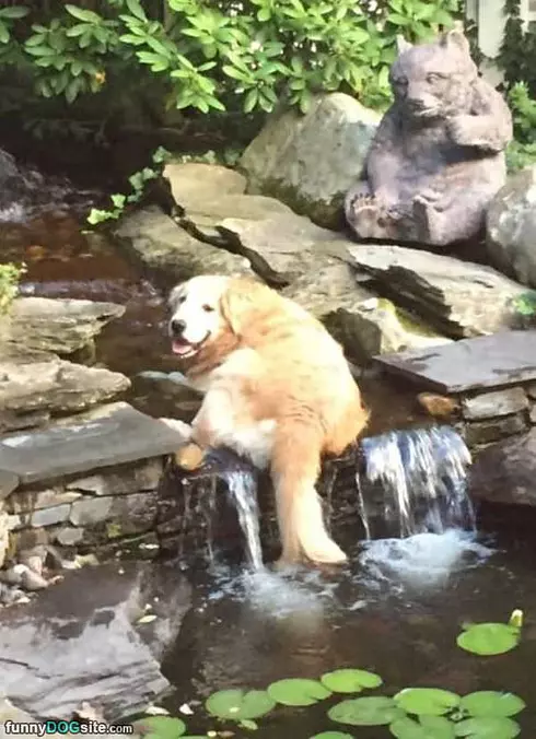 Very Relaxed Right Here