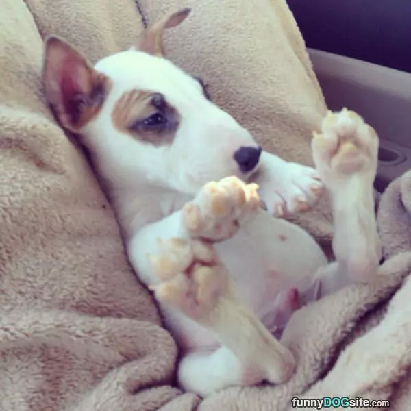 My Feets