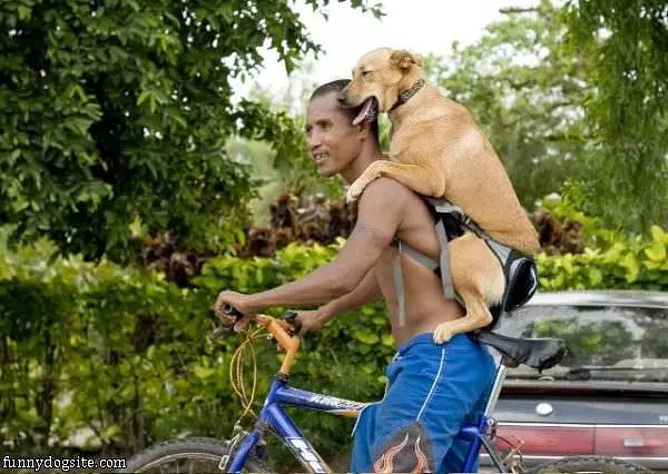 Bike Ride