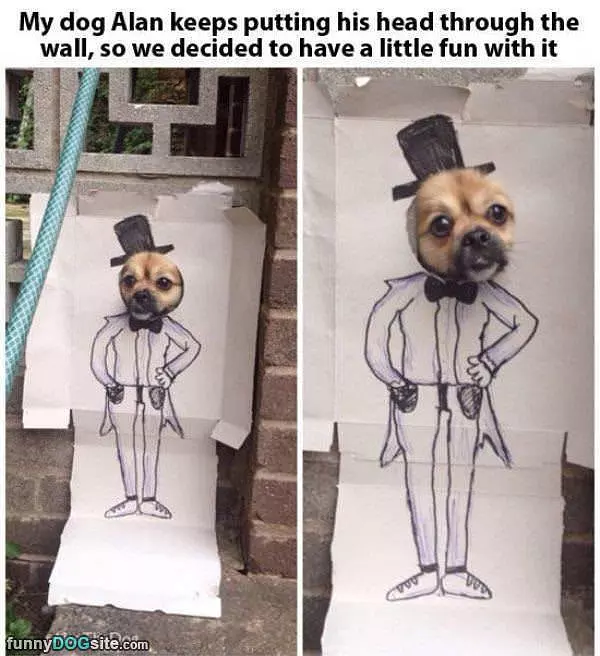 My Dog Alan
