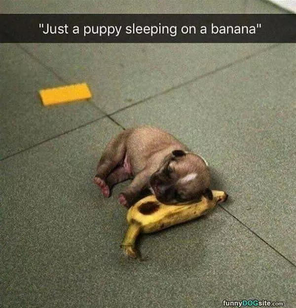 Sleeping On A Banana