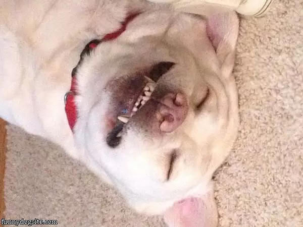 Very Funny Smile