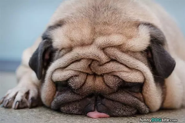 Soooo Sleepy Today