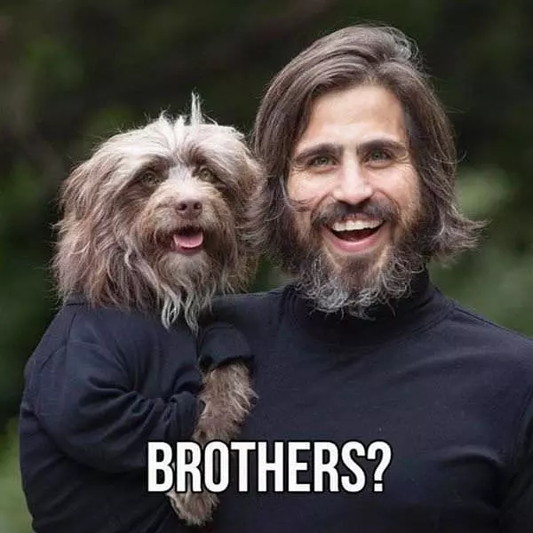 Long Lost Brothers