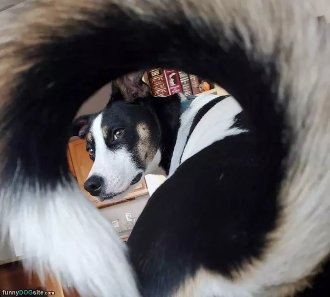 Hey The Turn