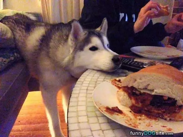 I Really Want A Bite