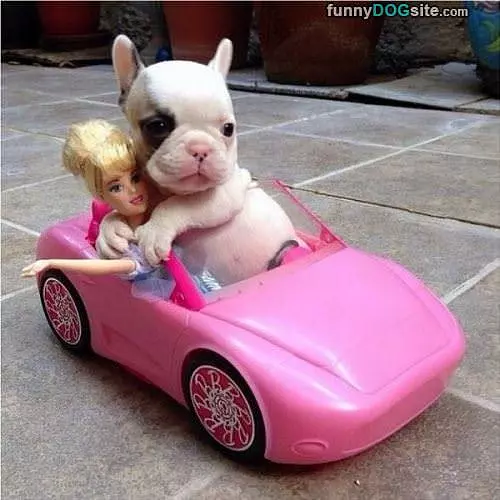 Going For A Ride
