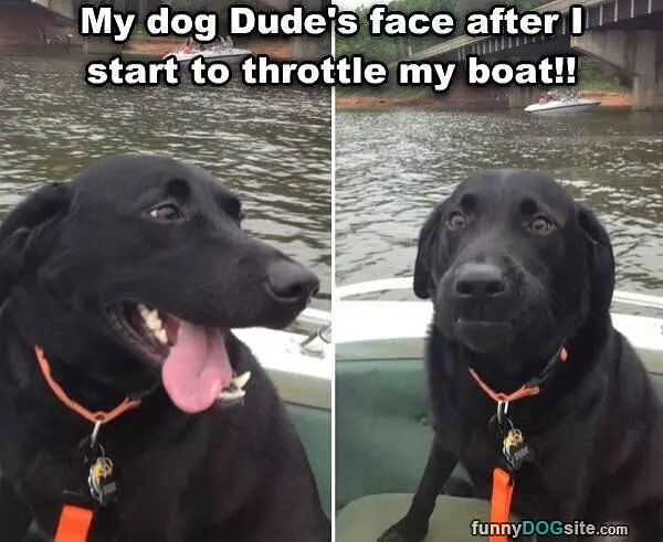 Fun On The Boat