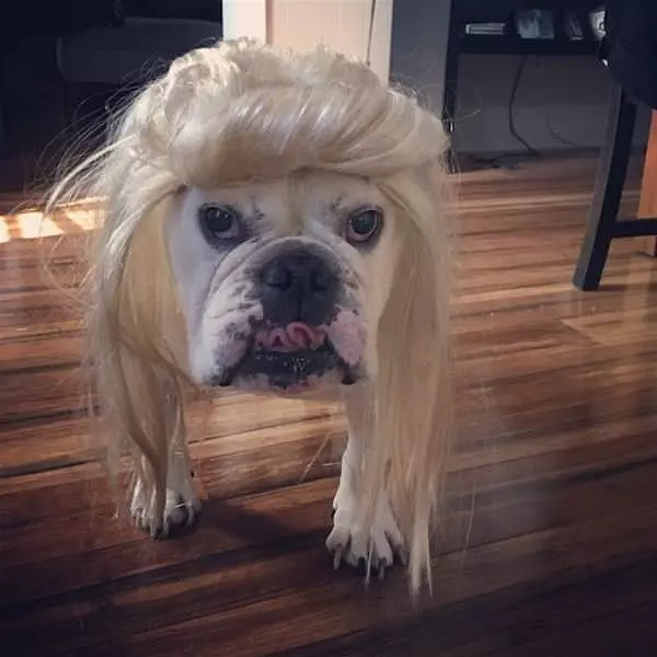 My Fabulous Hair