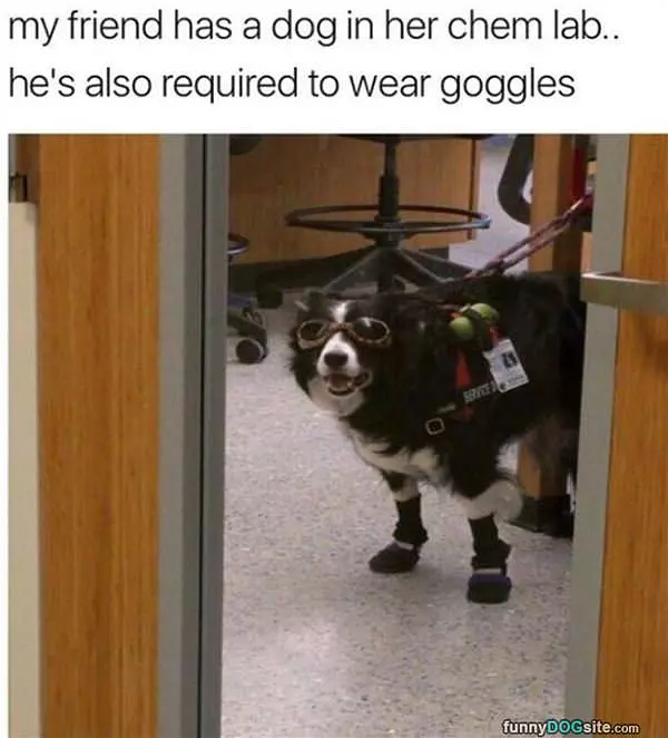 Need To Wear Goggles