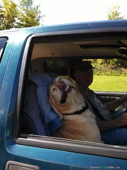 I Love Car Rides